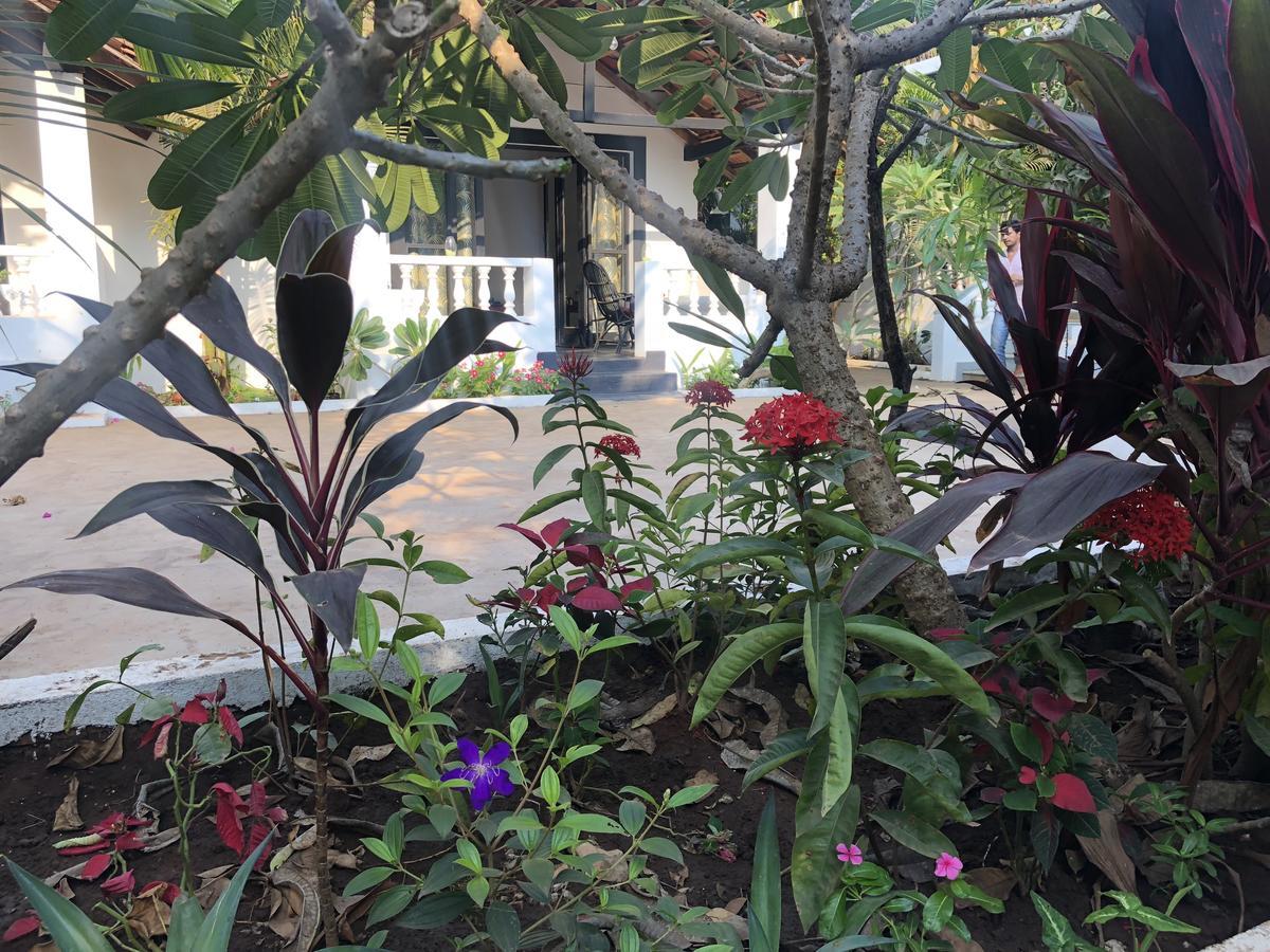 God'S Gift Morjim Exterior foto